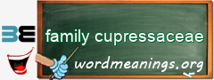 WordMeaning blackboard for family cupressaceae